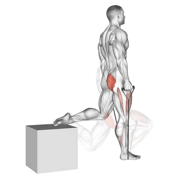 Single leg squat with band underneath — ejercicio de Pierna, nivel Avanzado