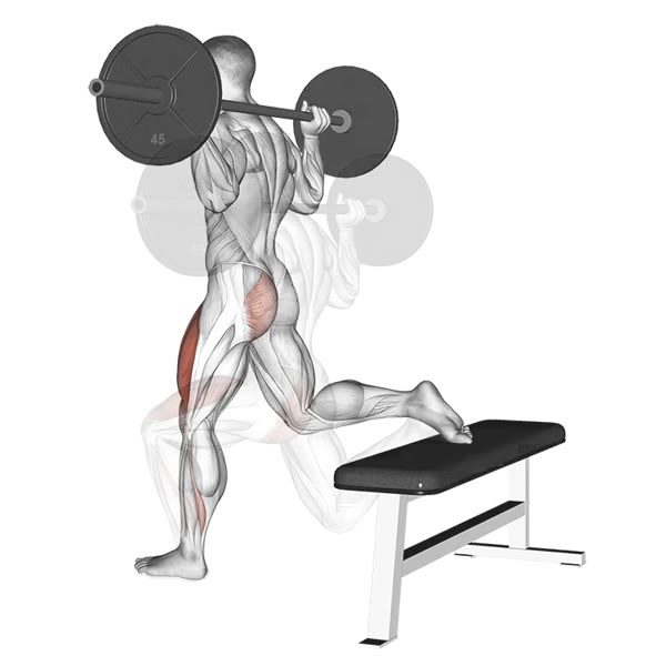 Single leg squat with barbell — ejercicio de Pierna, nivel Avanzado