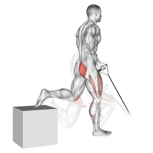 Single leg squat with front band — ejercicio de Pierna, nivel Avanzado
