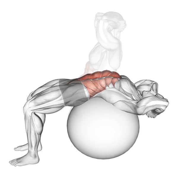 Sit Up on Fitball — ejercicio de Abdomen, nivel Intermedio
