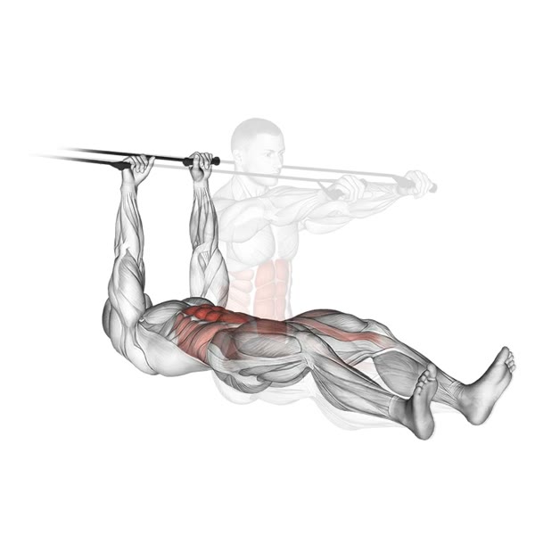 Sit Up with Bands — ejercicio de General, nivel Intermedio