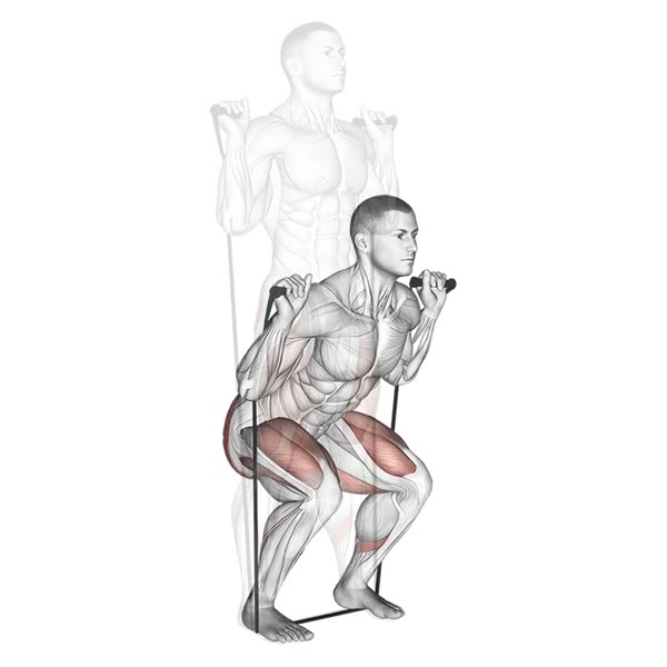 Squat with Band — ejercicio de Pierna, nivel Intermedio