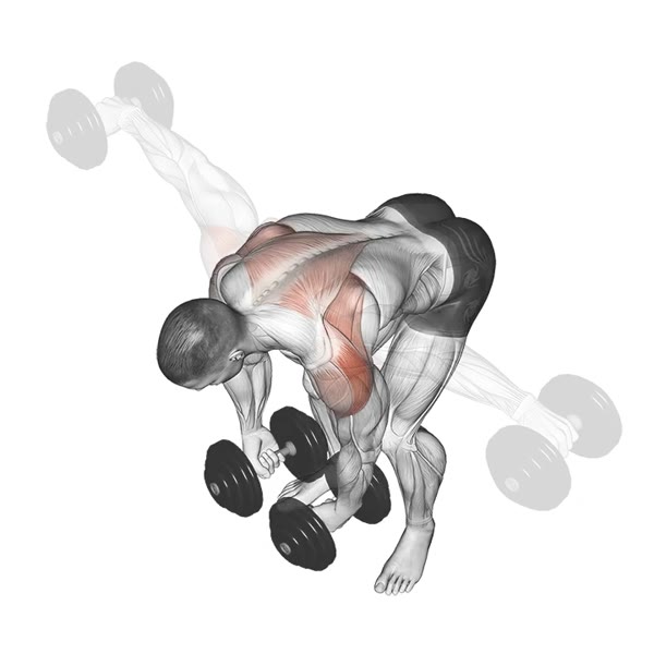 Standing birds with dumbbells — ejercicio de General, nivel Intermedio