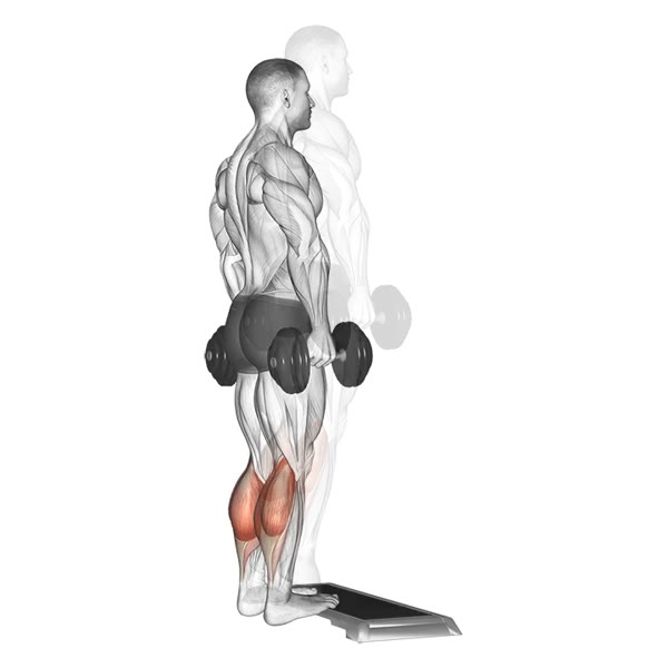 Standing Dumbbell Calf Extension — ejercicio de Pierna, nivel Intermedio