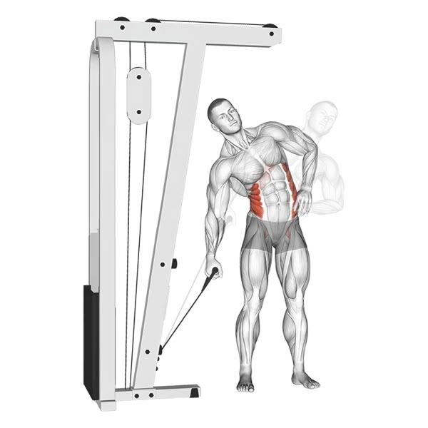 Standing Lateral Crunch on Low Pulley — ejercicio de Abdomen, nivel Intermedio