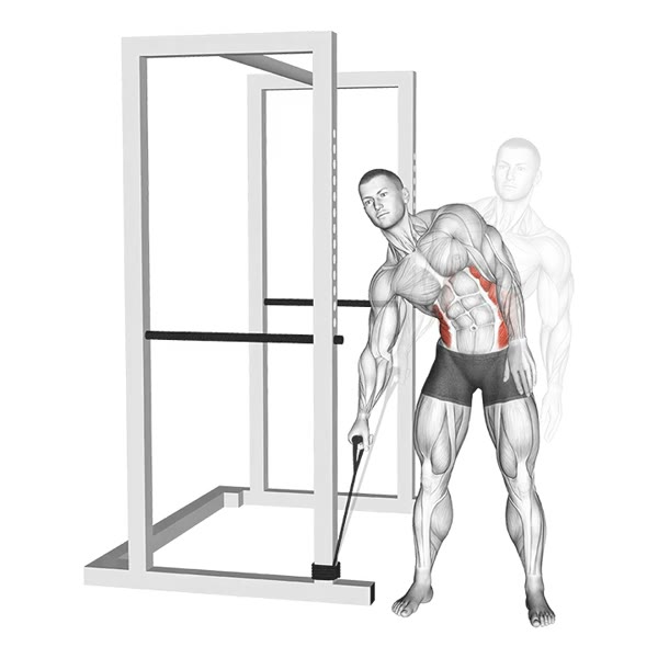 Standing Side Crunch with Band — ejercicio de Abdomen, nivel Intermedio