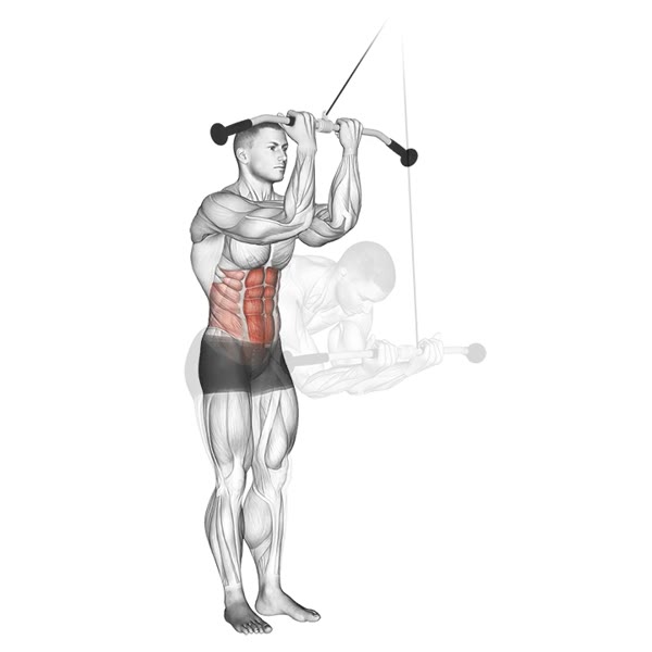 Standing Superior Crunch with Front Pulley — ejercicio de Abdomen, nivel Intermedio