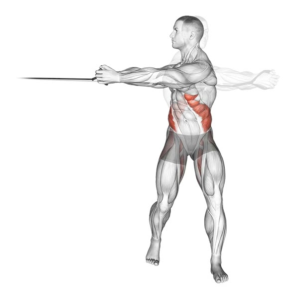 Standing Waist Twists with Band — ejercicio de Abdomen, nivel Intermedio