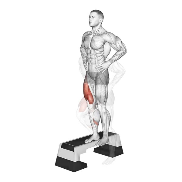 Step Up Lateral — ejercicio de Pierna, nivel Principiante
