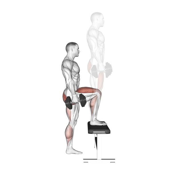 Step Up with Dumbbells — ejercicio de Pierna, nivel Intermedio
