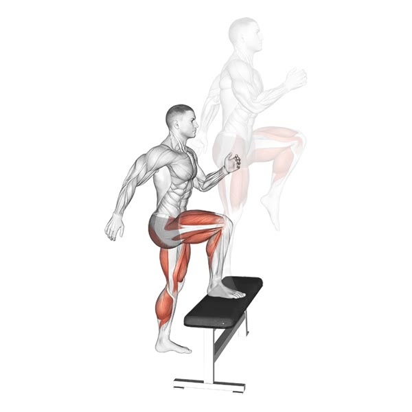 Step Up — ejercicio de Pierna, nivel Intermedio