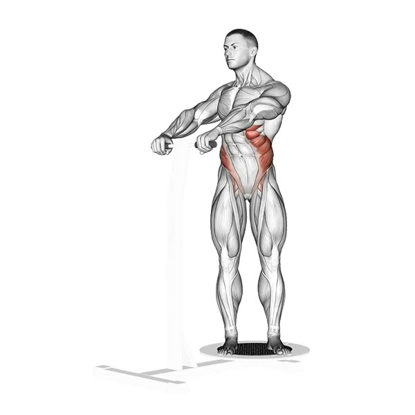 Superior Oblique Turns on Machine — ejercicio de Abdomen, nivel Intermedio