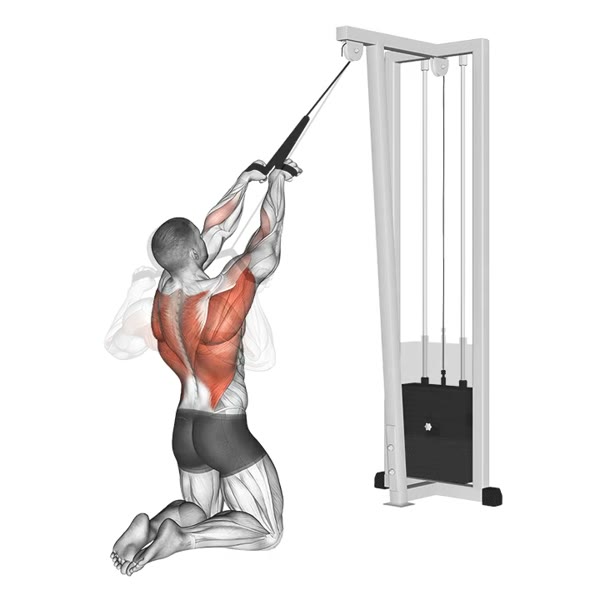 Superior Rowing with Rope on Pulley — ejercicio de Espalda, nivel Intermedio