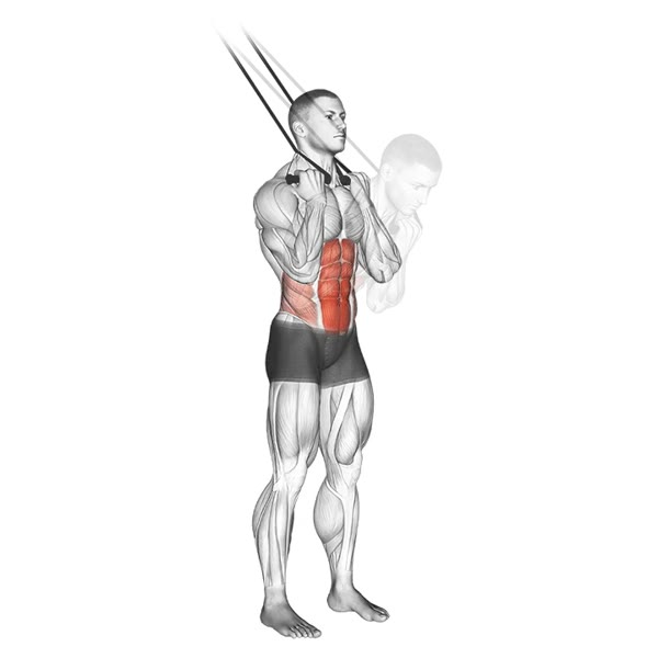 Superior Standing Crunch with Bands — ejercicio de Abdomen, nivel Intermedio