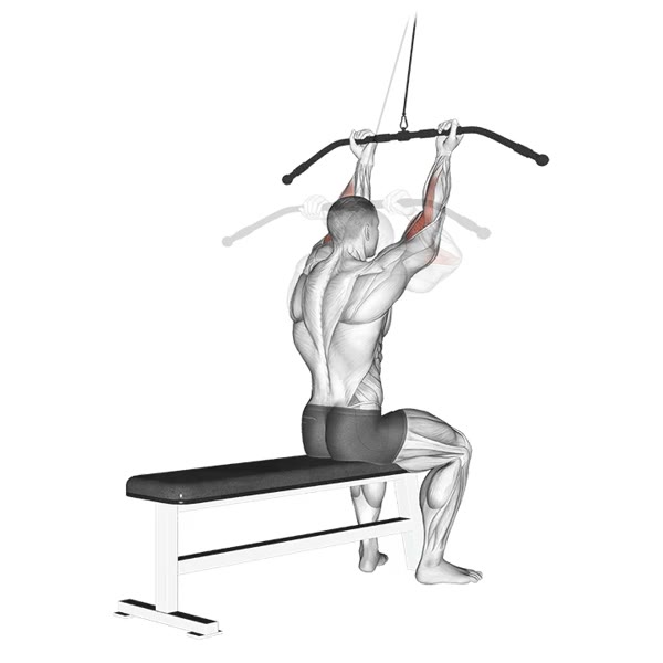 Supinated Curl on High Pulley — ejercicio de Bíceps, nivel Intermedio