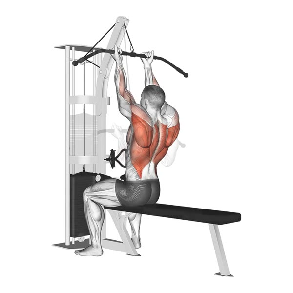 Supinated Lat Pulldown on High Pulley — ejercicio de Espalda, nivel Intermedio