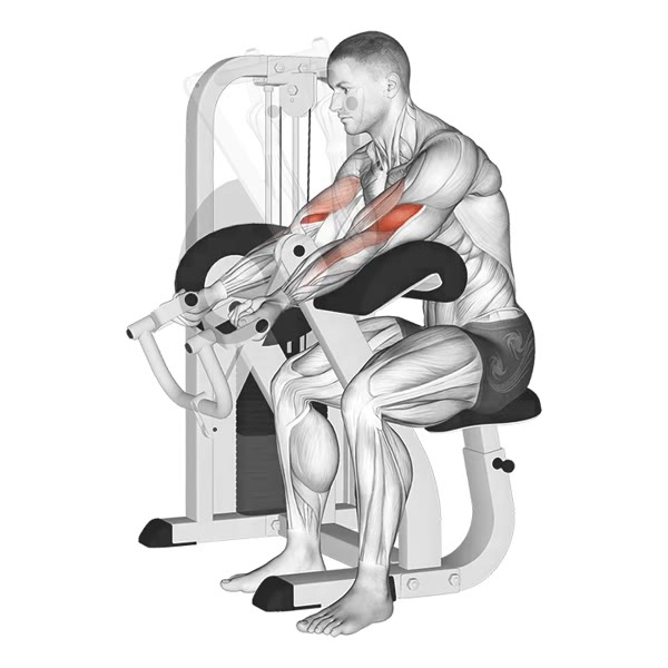 Supination Curl on Scott Machine — ejercicio de Bíceps, nivel Intermedio