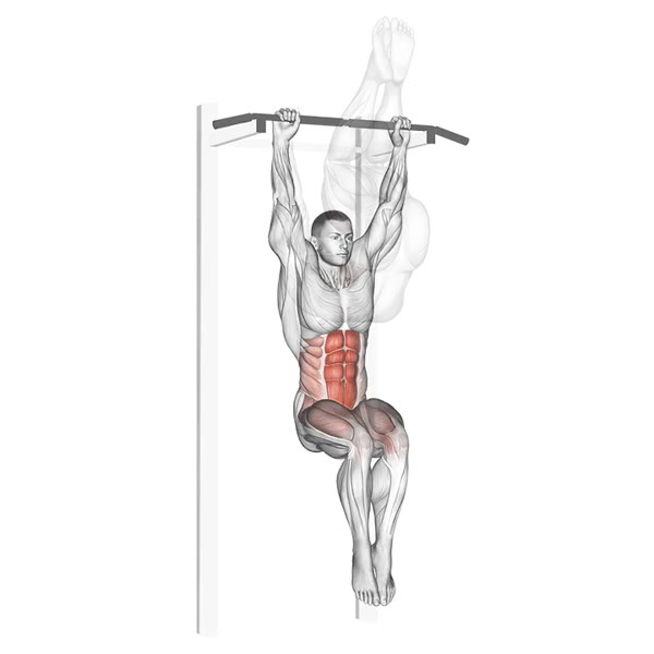 Total Lift When Hanging — ejercicio de General, nivel Intermedio