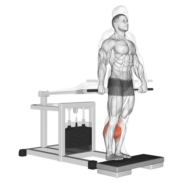 Twin Extension on Bottom Loaded Machine — ejercicio de General, nivel Intermedio
