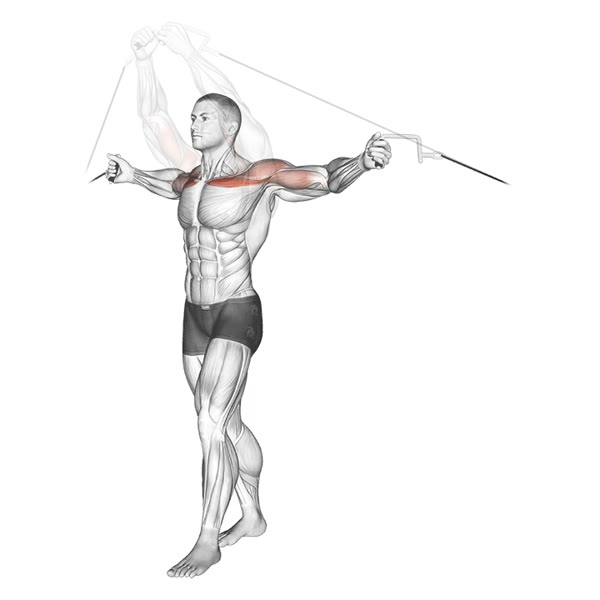 Upper pulley crossover — ejercicio de General, nivel Intermedio