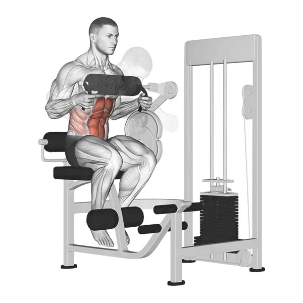 Vertical Crunch Machine — ejercicio de Abdomen, nivel Intermedio