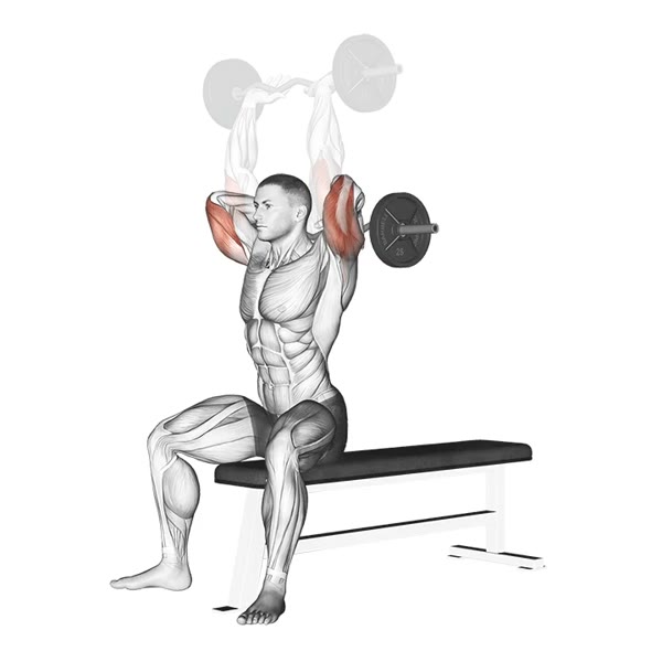 Vertical Extension with Z Bar — ejercicio de Tríceps, nivel Intermedio