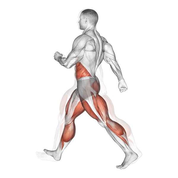 Walk briskly — ejercicio de General, nivel Intermedio