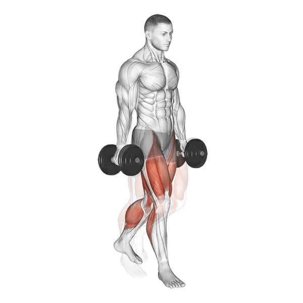 Walking with weight — ejercicio de General, nivel Principiante