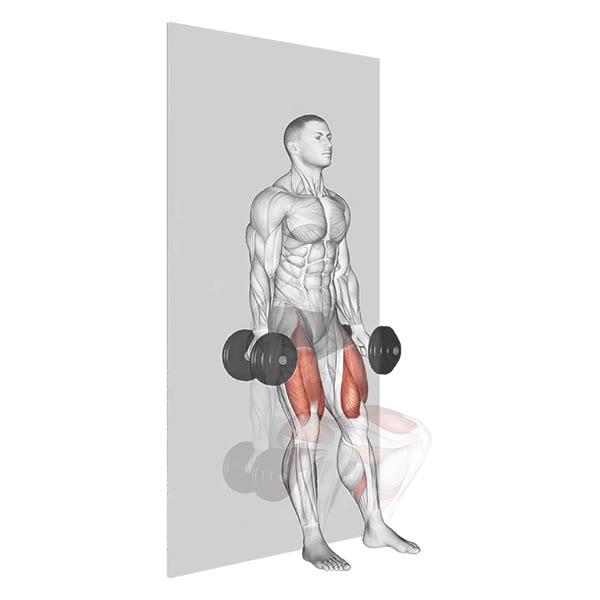 Wall Squat with Dumbbells — ejercicio de Pierna, nivel Intermedio