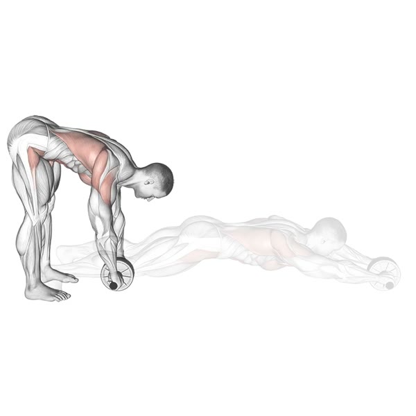 Wheel Rollout standing — ejercicio de Abdomen, nivel Avanzado