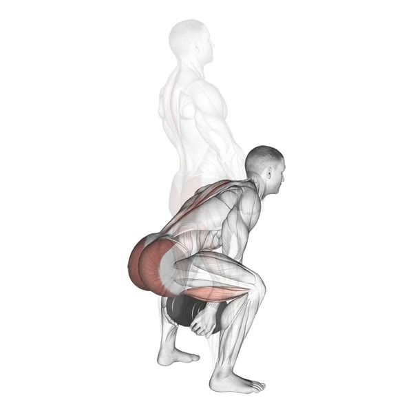 Wide grip Dumbbell Deadlift — ejercicio de Espalda, nivel Intermedio