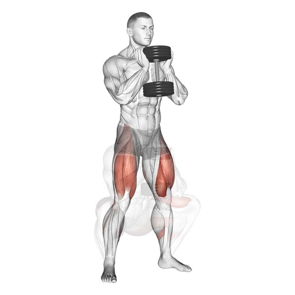 Wide Leg Dumbbell Squat — ejercicio de Pierna, nivel Intermedio