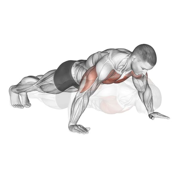 Wide Push-ups — ejercicio de Pecho, nivel Principiante