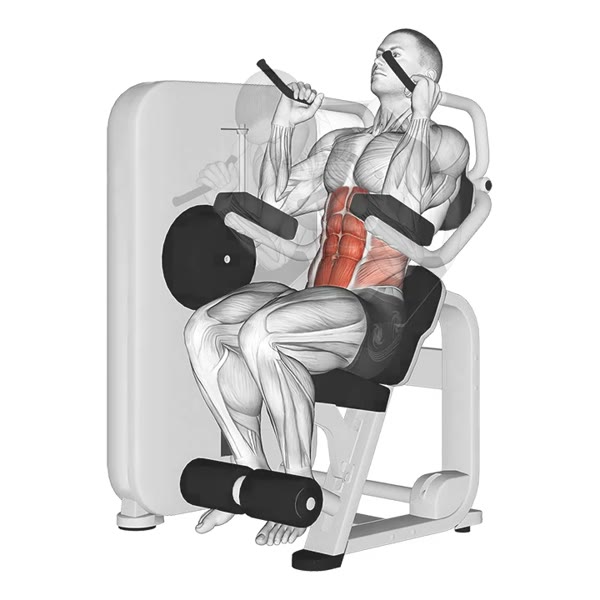 Wide Vertical Superior Crunch Machine — ejercicio de Abdomen, nivel Intermedio